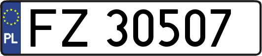 FZ30507