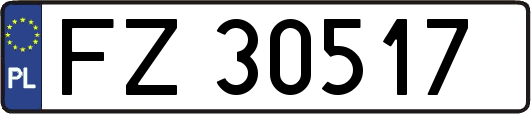 FZ30517