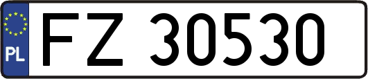 FZ30530