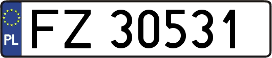FZ30531
