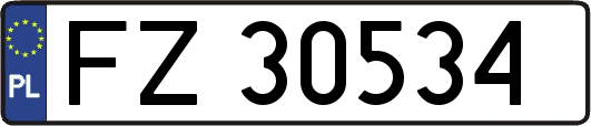 FZ30534
