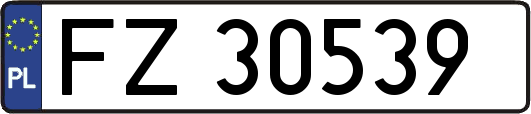 FZ30539