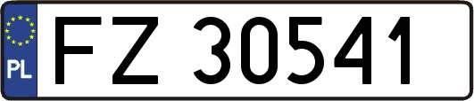 FZ30541
