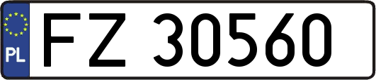 FZ30560