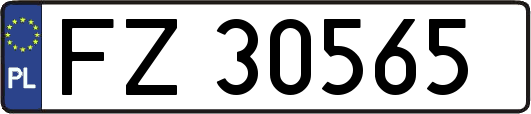 FZ30565