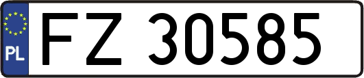 FZ30585