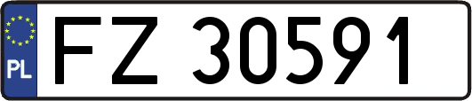 FZ30591