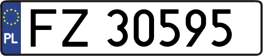 FZ30595