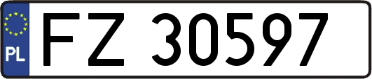 FZ30597