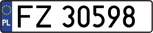 FZ30598