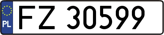 FZ30599