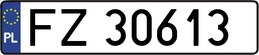 FZ30613