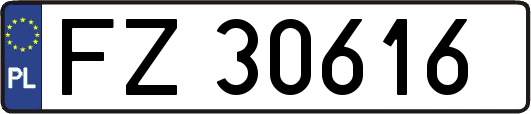 FZ30616
