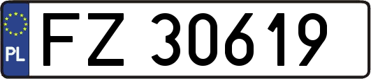 FZ30619