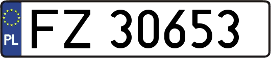 FZ30653
