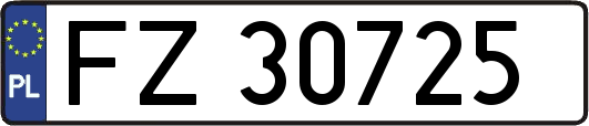 FZ30725