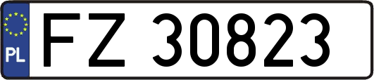 FZ30823