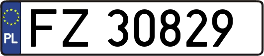 FZ30829
