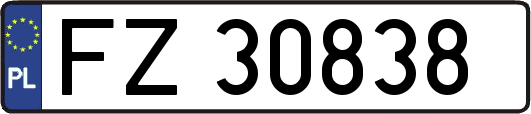 FZ30838