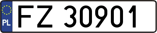 FZ30901
