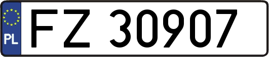 FZ30907