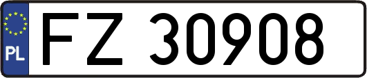 FZ30908