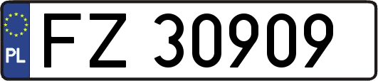 FZ30909