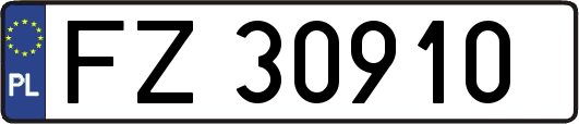 FZ30910