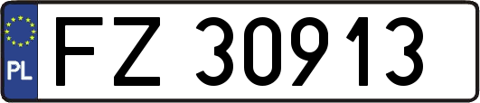 FZ30913