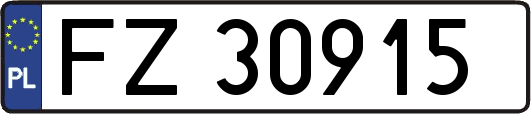 FZ30915