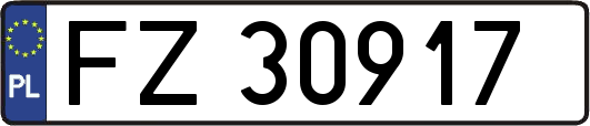 FZ30917