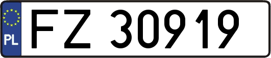 FZ30919