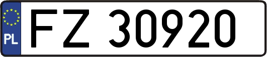 FZ30920