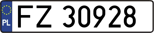 FZ30928