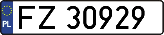 FZ30929