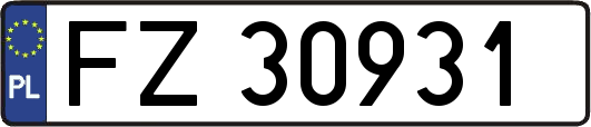FZ30931