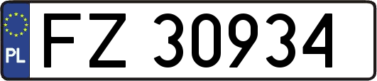FZ30934