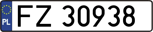 FZ30938
