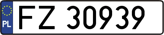 FZ30939