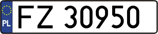 FZ30950
