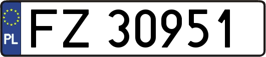 FZ30951