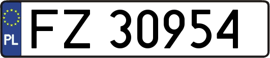 FZ30954