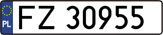 FZ30955