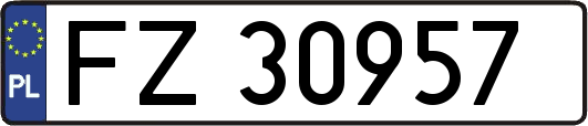 FZ30957