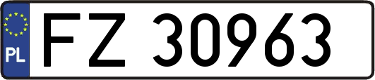 FZ30963