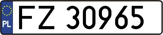FZ30965