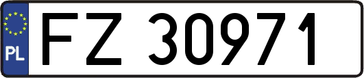 FZ30971