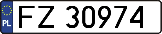FZ30974