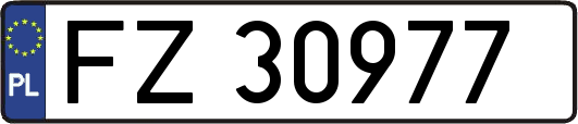 FZ30977