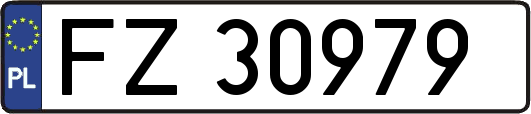 FZ30979